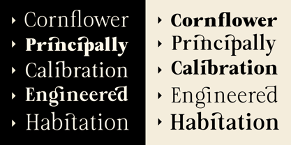 Bailon Variable Font Poster 3