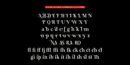 Bailon Variable Font Poster 6