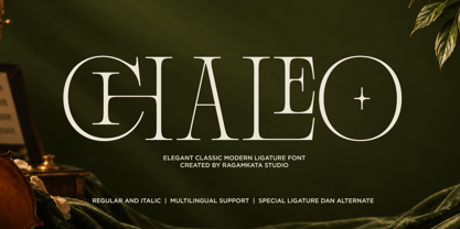 Chaleo Font Poster 1
