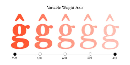 Garamond Now Variable Font Poster 8