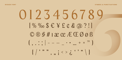 Rigade Font Poster 7