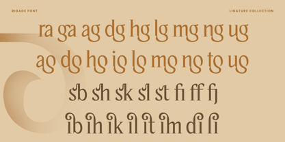 Rigade Font Poster 9