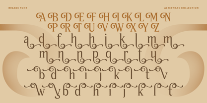 Rigade Font Poster 11