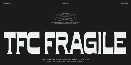 TFc Fragile Font Poster 1