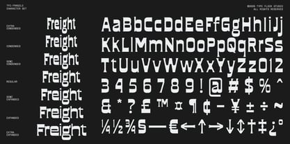 TFc Fragile Font Poster 3