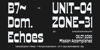 TFc Fragile Font Poster 10