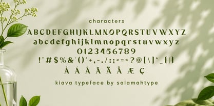 Kiava Font Poster 8