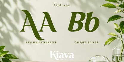 Kiava Font Poster 4