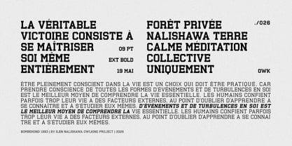 Bombehond 1993 Font Poster 5