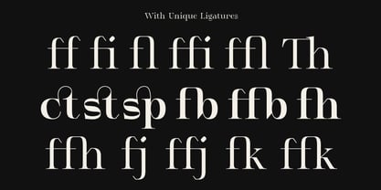 Serifant Font Poster 12