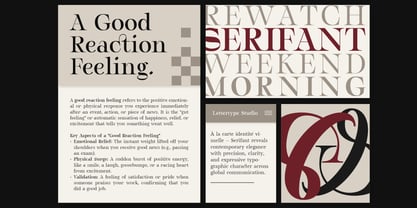 Serifant Font Poster 4