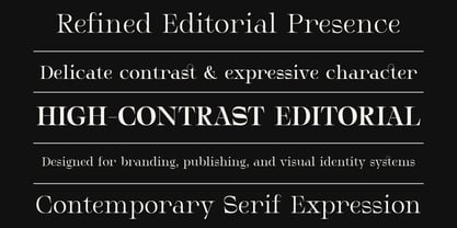 Serifant Font Poster 10