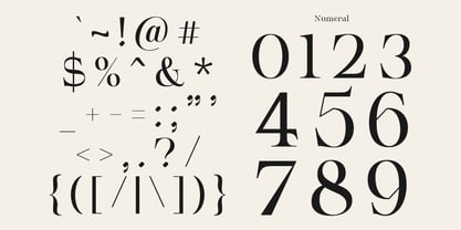 Serifant Font Poster 14