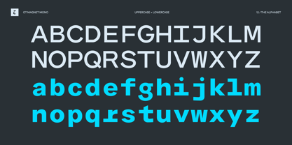 OT Magnet Mono Font Poster 12