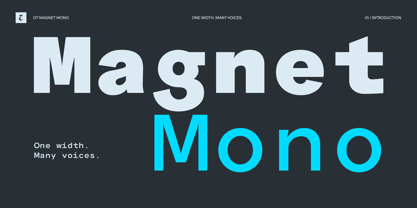 OT Magnet Mono Font Poster 1