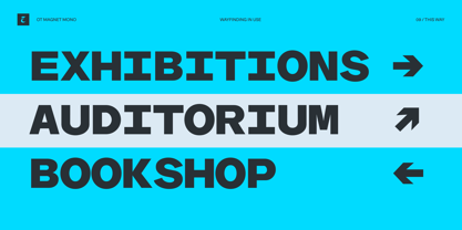 OT Magnet Mono Font Poster 9