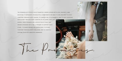 Flamelisse Font Poster 9
