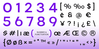 Rogin Font Poster 11