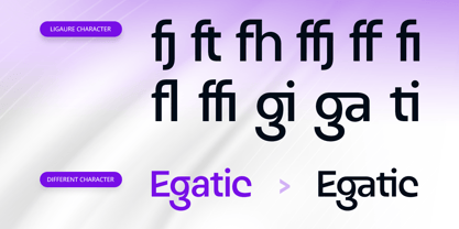 Rogin Font Poster 8
