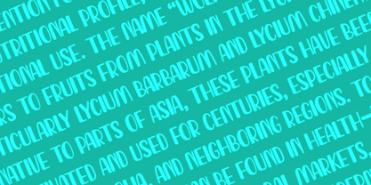 Wolfberry Font Poster 5