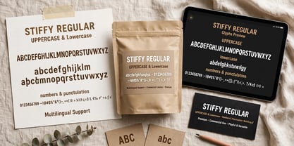 Stiffy Font Poster 4