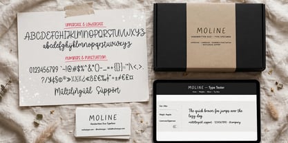 Moline Quotes Sans Font Poster 8