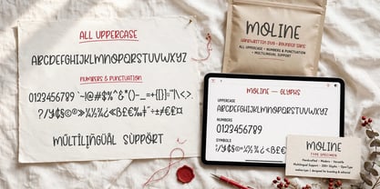 Moline Quotes Sans Font Poster 7