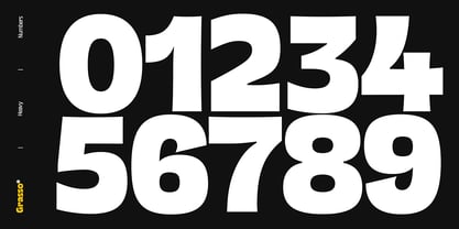 Grasso Font Poster 6