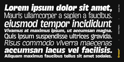 Grasso Font Poster 7