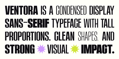 Ventora Font Poster 2