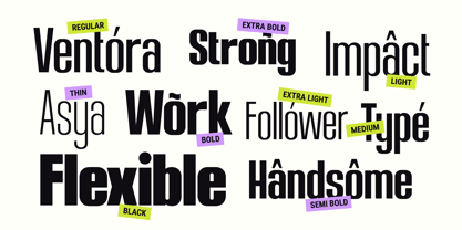 Ventora Font Poster 13