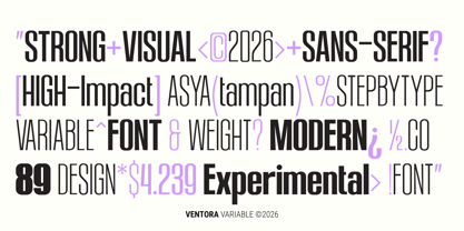 Ventora Font Poster 5