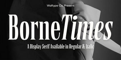 Borne Times Font Poster 1