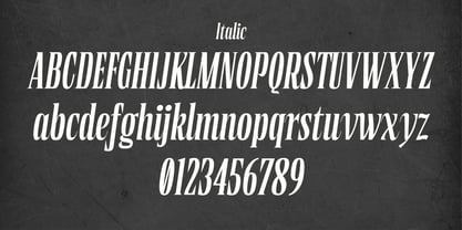 Borne Times Font Poster 6