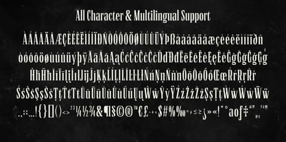 Borne Times Font Poster 8