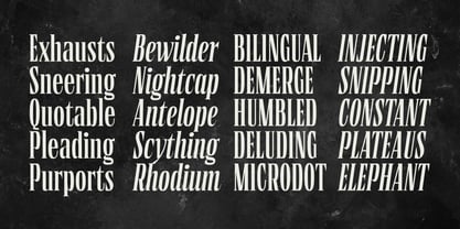 Borne Times Font Poster 7
