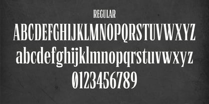 Borne Times Font Poster 5