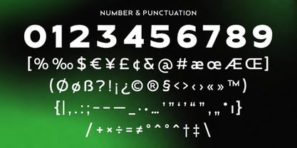 Public Office Font Poster 6