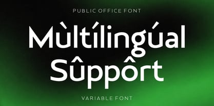 Public Office Font Poster 9