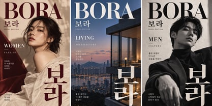Bora Font Poster 1