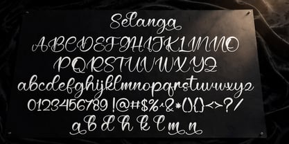 Selanga Font Poster 12