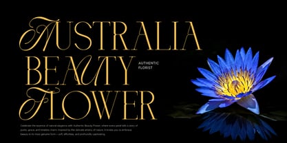 BlueMoon Royale Font Poster 4