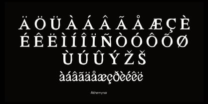 Malvoria Veiled Font Poster 3