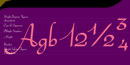 Bachata Font Poster 7