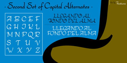 Bachata Font Poster 13