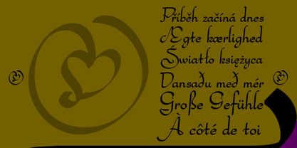 Bachata Font Poster 6