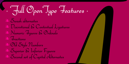 Bachata Font Poster 9