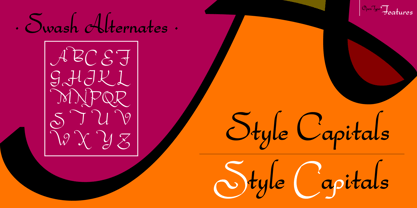 Bachata Font Poster 10