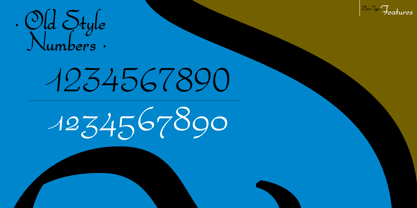 Bachata Font Poster 14