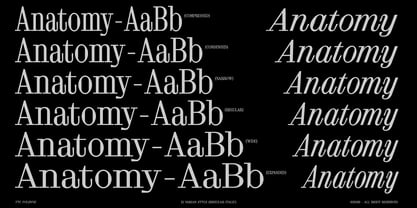 FTC Foldyne Font Poster 2